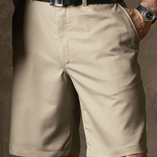 Plain Front Shorts Thumbnail