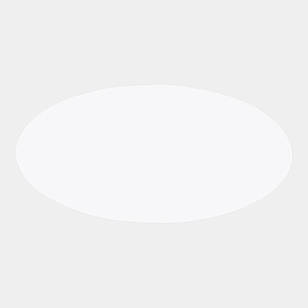 3" x 1 1/2" / Oval Plastic Badge Blank Thumbnail