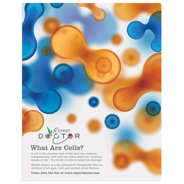 11" x 14" Matte ChromaLuxe Aluminum Photo Panel Thumbnail