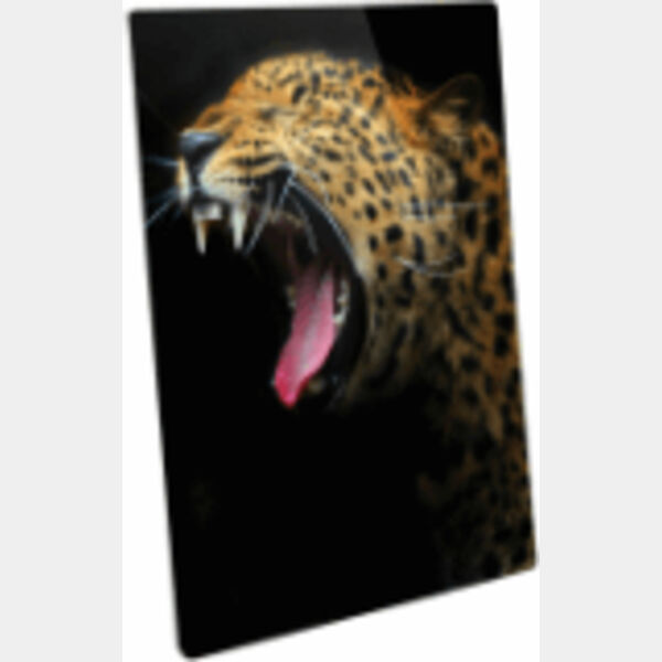 8" x 12" Semi-Gloss ChromaLuxe Aluminum Photo Panel Thumbnail