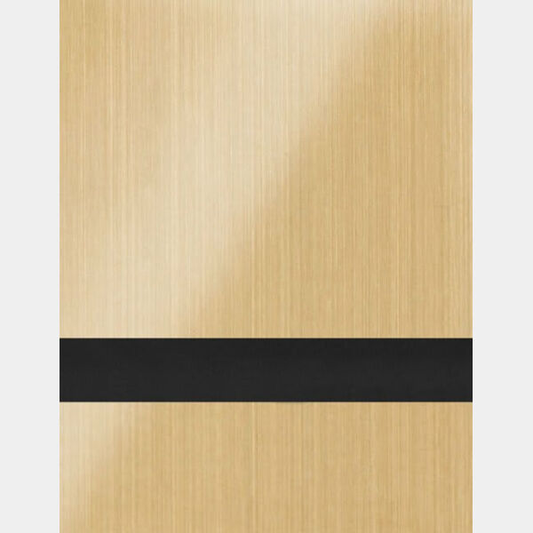 12" x 24" x 1/16" Brushed Satin / Duets with -Guard Laser Indoor Thumbnail