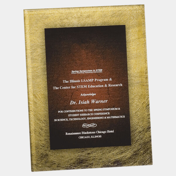 6 1/2" X 8 1/2" / Acrylic Art Plaque with Easel/Hanger Thumbnail