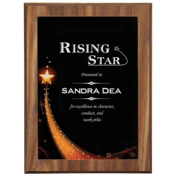 6 7/8" X 9 7/8" Star Galaxy Acrylic Plaque Plate Thumbnail