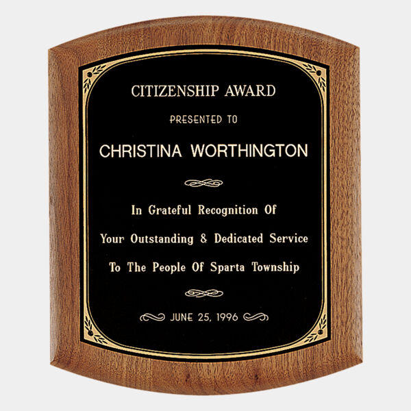 9 1/2" x 11 1/2" Coventry Series American Plaque with Border Laserable Brass Plate Thumbnail