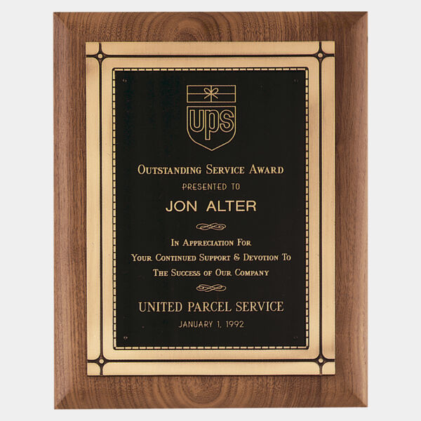 11" x 14" American Plaque with Antique Casting & High Quality Phoenix Frame Casting Thumbnail