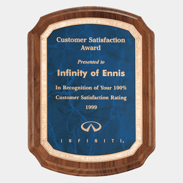 8" x 10 1/2" Coventry Series American Plaque with Border Sapphire LaserFX Plate Thumbnail