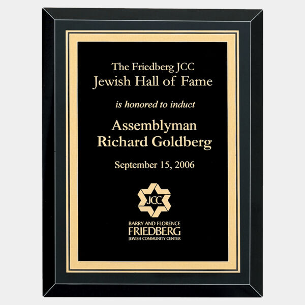 9" x 12" Airflyte Premium Mirror Glass Plaque with Florentine Border LaserFX Plate Thumbnail