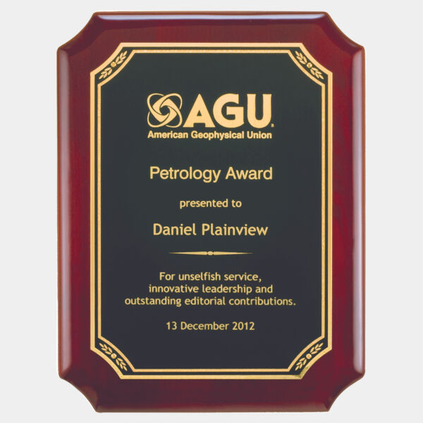 9" x 12" Airflyte Piano Finish Plaque with Florentine Leaf Design LaserFX Plate Thumbnail