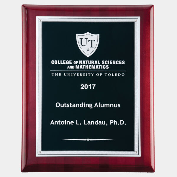 9" x 12" Airflyte Piano Finish Plaque with Textured LaserFX Plate with Florentine Border Thumbnail