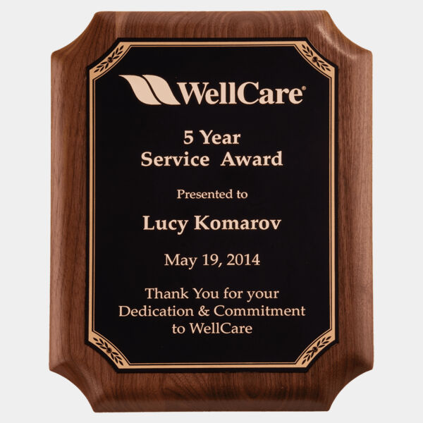 11" x 15" American Plaque with Border LaserFX Plate Thumbnail