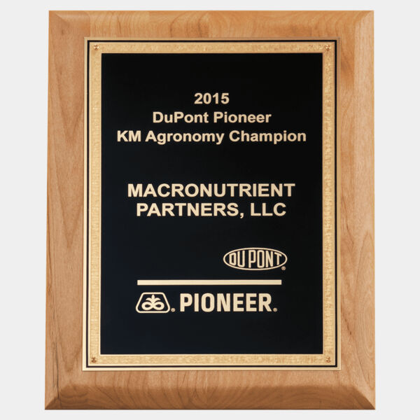 9" x 12" Natural Wood Plaque with Textured, Florentine Bordered LaserFX Plate Thumbnail