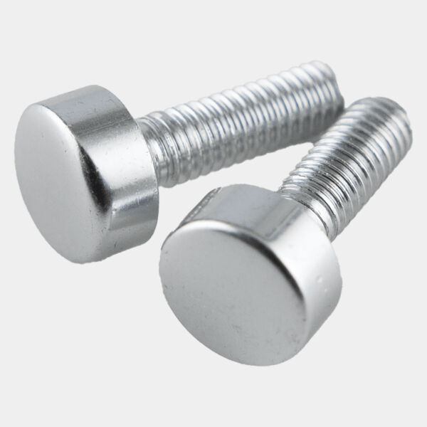 Replacement Screws for P5340 Perpetual Plaque Thumbnail