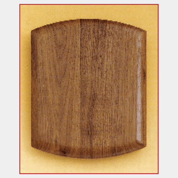 8 1/2" x 10" Airflyte American Plaque Thumbnail