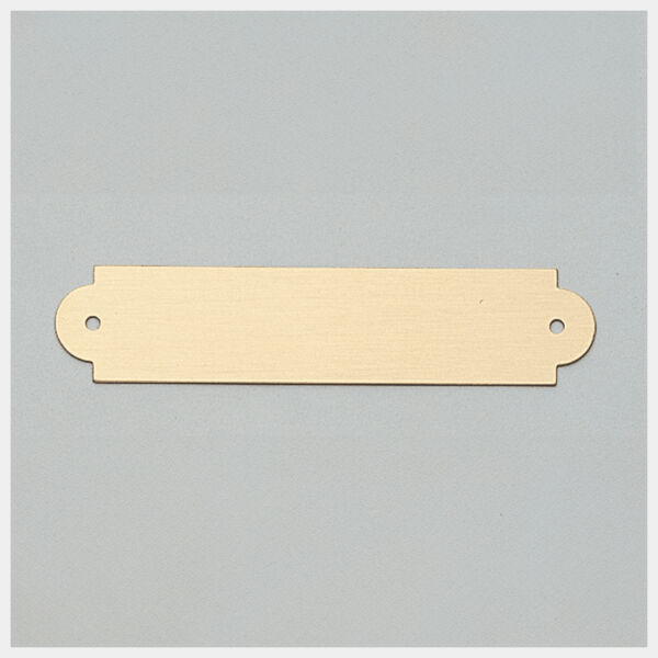 3/4" x 3 1/2" Brushed Brass Plate with Two Holes Thumbnail