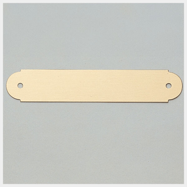 3/4" x 4" Brushed Brass Plate with Two Holes Thumbnail