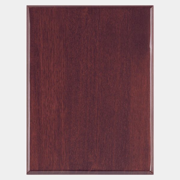 22" x 30" Airflyte Premium Piano Finish Plaque with Round Corners Thumbnail